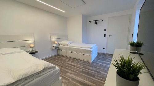 - une chambre blanche avec 2 lits et 2 plantes dans l'établissement Uraha Apartments Fürth, à Fürth