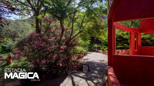 Glamping en Valle Grande – Photos 2