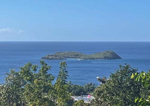 an island in the ocean with trees in the foreground at AYOUNAKA in Bouillante