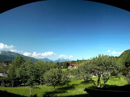 a view of a field with trees and mountains at Gästehaus Angerer in Reit im Winkl