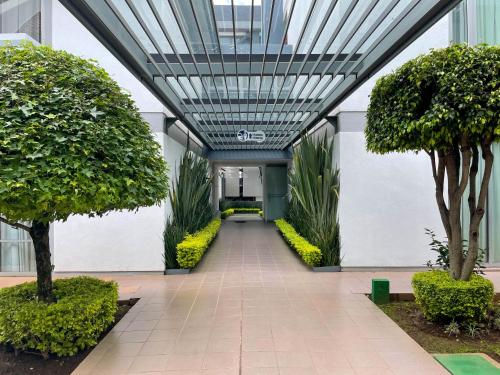 a hallway with trees and plants in a building at Hotel Horizon & Convention Center in Morelia