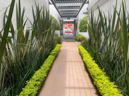 a walkway in a building with plants at Hotel Horizon & Convention Center in Morelia