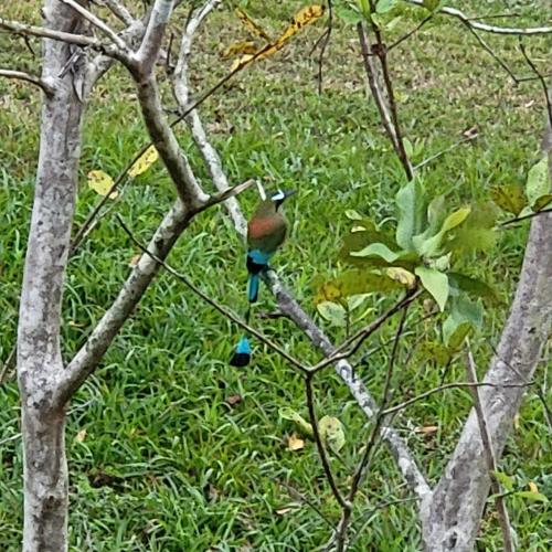 Quinta Justa – Photos 4