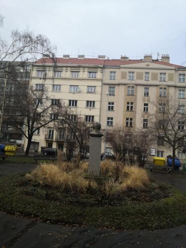 Economy flat 18 minutes from Vaclavske namesti