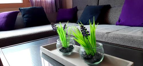 deux vases en verre avec des plantes sur une table à côté d'un canapé dans l'établissement Dachstein Adventure, à Obertraun