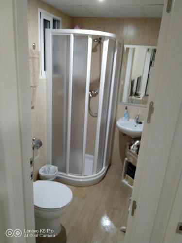 een badkamer met een douche, een toilet en een wastafel bij Guimar Advance en plena judería in Córdoba