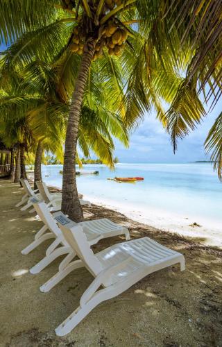 two white lounge chairs on a beach with palm trees at Aitutaki Village in Arutanga