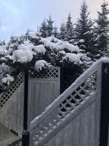 a wooden fence with snow on top of it at Schönwald Waldchalet am Musenberg in Stryck