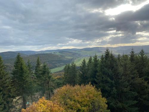 a view of a valley with trees and mountains at Schönwald Waldchalet am Musenberg in Stryck
