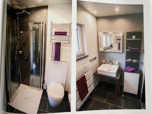 two pictures of a bathroom with a shower and a sink at Schönwald Waldchalet am Musenberg in Stryck