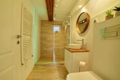 La salle de bains est pourvue de toilettes, d'un lavabo et d'une douche. dans l'établissement Schei Residence, à Braşov