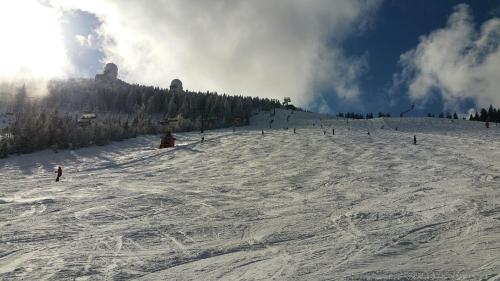 a group of people skiing down a snow covered slope at Ferienwohnung Wildgatter in Grafenwiesen
