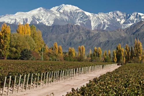 a dirt road through a vineyard with mountains in the background at Quinta Park in Mendoza