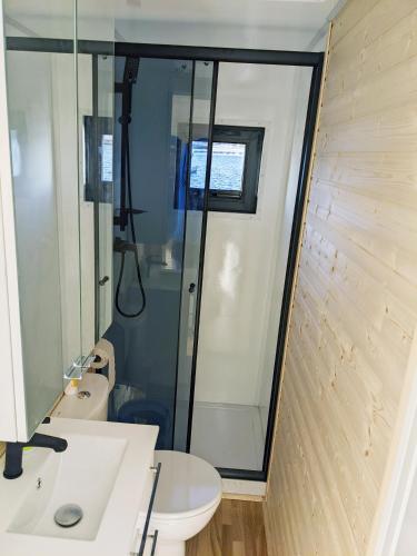 y baño con ducha, lavabo y aseo. en Schwimmendes Haus Nico auf dem Wasser inkl Boot in Västervik, en Västervik