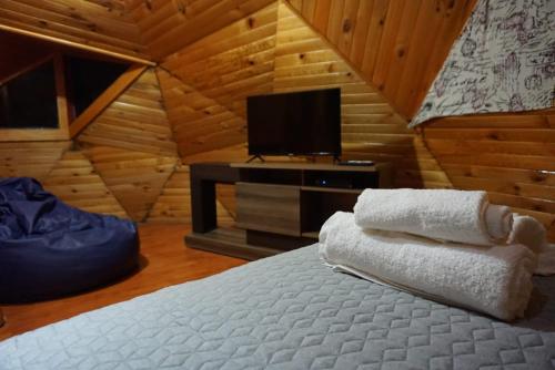 1 dormitorio con 1 cama y TV en una cabaña en Domo Lenga, en Chile Chico