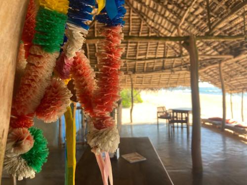 a bunch of colorful feathers hanging from a building at The Alpha Monkey hotel & Tree house in Tangalle