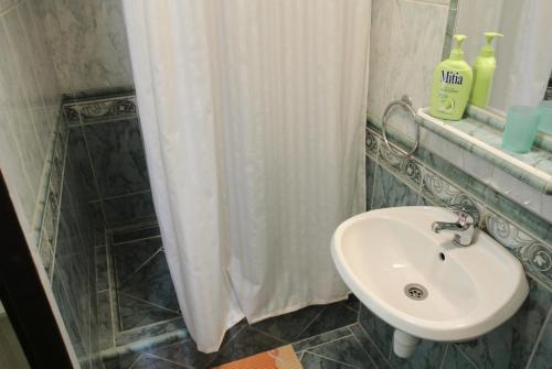 a bathroom with a sink and a shower curtain at Penzion Haus Regrus in Jáchymov