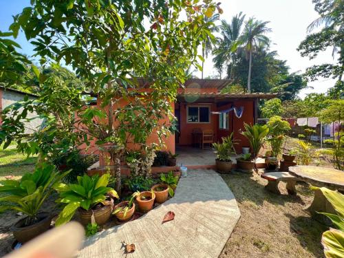 a house with a lot of plants in a yard at Pim Bungalow in Mae Haad