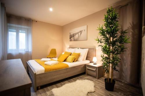 a bedroom with a bed with yellow pillows and a plant at LA MADELEINE -GARE - CENTRE-VILLE - Home-One in Saint-Vit