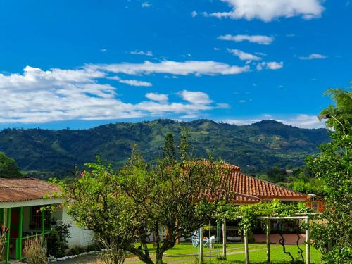 Vista general de una montaña o vista desde el lodge
