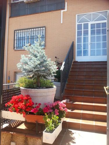 a house with a potted plant and flowers on the stairs at Casa Montesol in Cáceres