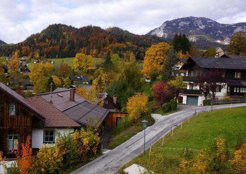 Příroda nedaleko apartmánu