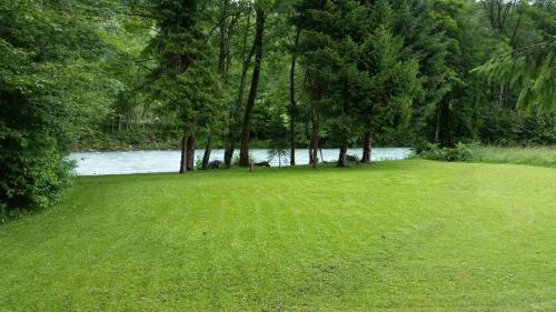 a large grass field next to a river with trees at Ferienwohnung Hergesell in Marktschellenberg