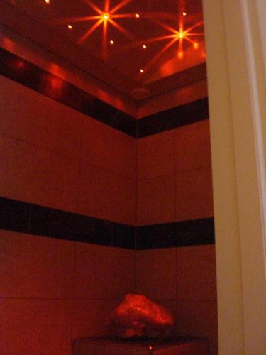 a bathroom with a shower with red lights on the ceiling at Apart-Garni Motnaida in Samnaun