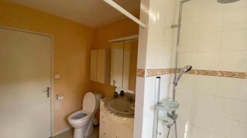 a bathroom with a toilet and a sink and a shower at MAGNIFIQUE Location au bout de la route in Saint-Hilaire-les-Courbes