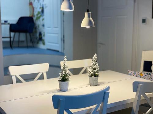 a dining room table with two potted plants on it at Osada Parkowa, Kaszuby in Mściszewice