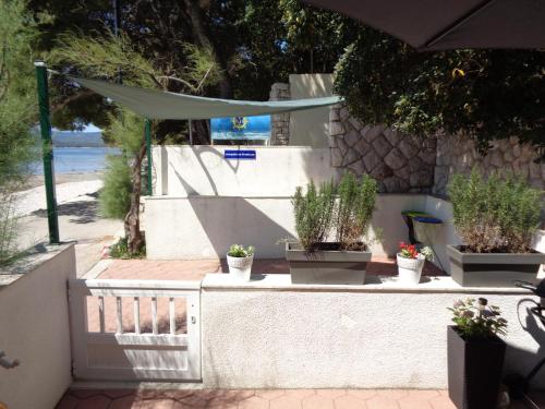 Κήπος έξω από το Apartman M Orebic