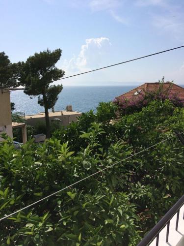 Apartment in Podgora with sea view, terrace, WiFi 4492-5
