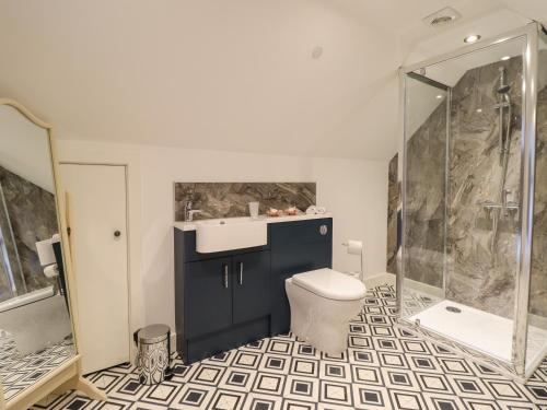 a bathroom with a toilet and a sink and a shower at The Clockhouse in Llandyssil