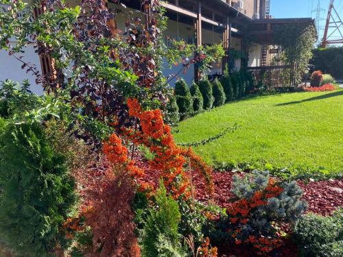 Zahrada ubytování Hotel Yarus