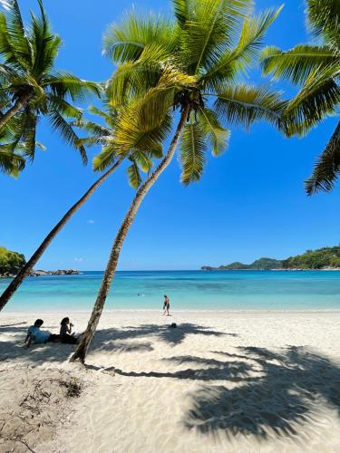 a group of people laying on a beach with palm trees at Villa Chez Batista in Takamaka