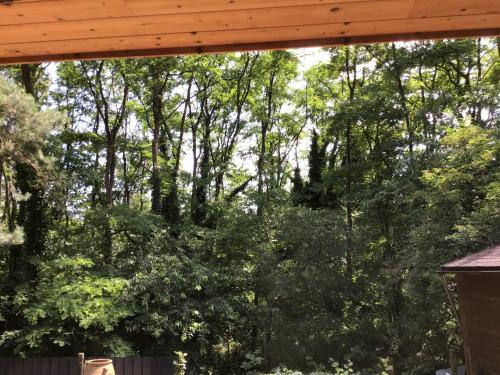 Zahrada ubytování Charming house in the woods with private wellness
