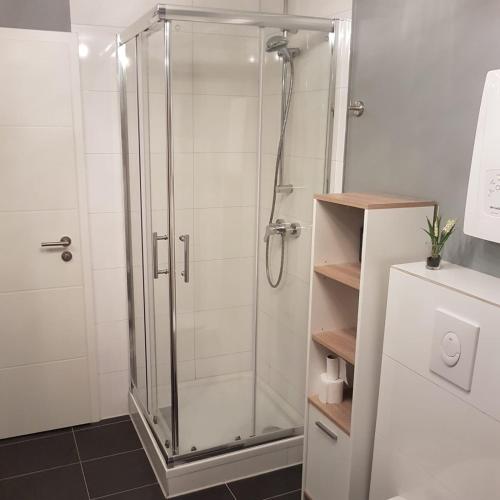 La salle de bains est pourvue d'une douche avec une porte en verre. dans l'établissement Flensburg Zentrum 69 4, à Flensbourg