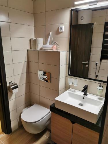 a bathroom with a sink and a toilet and a mirror at Suncana planina apartman 103 in Kopaonik