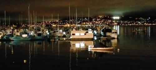 a group of boats docked in a harbor at night at NAVIS SIREN Barco Apartamento in Baiona
