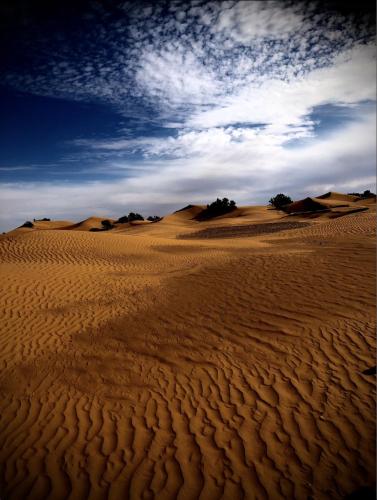 a desert with sand dunes and a cloudy sky at Maison d'hôte ''J'' in Agdz