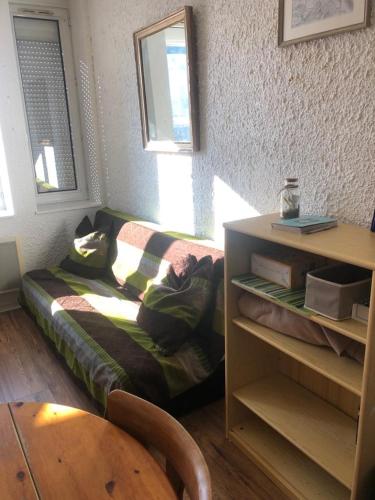 a room with a couch with a bed in it at Le Français, studio au calme proche de la gare in Besançon