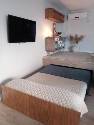 1 dormitorio con 1 cama y TV de pantalla plana en Estudio jacuzzi Luz de Jerez, en Jerez de la Frontera