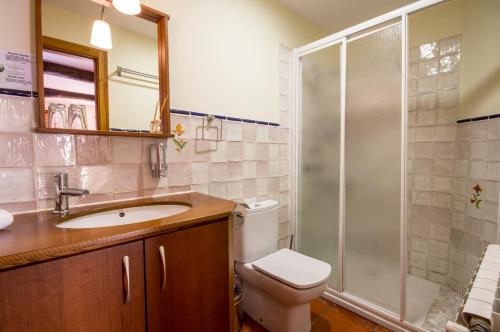 a bathroom with a toilet sink and a shower at O Canto da Terra in Pantón