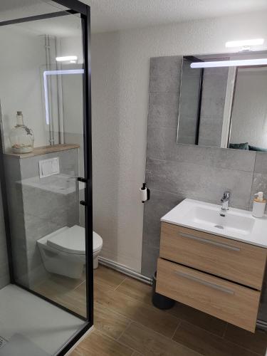 ein Badezimmer mit einem WC, einem Waschbecken und einem Spiegel in der Unterkunft Villa bord de mer avec belle terrasse in Port Leucate