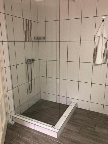 La salle de bains est pourvue d'une douche avec une porte en verre. dans l'établissement Tisza-Kert Apartmanok, à Tiszafüred