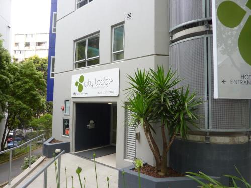 a building with a palm tree in front of it at City Lodge Accommodation in Auckland