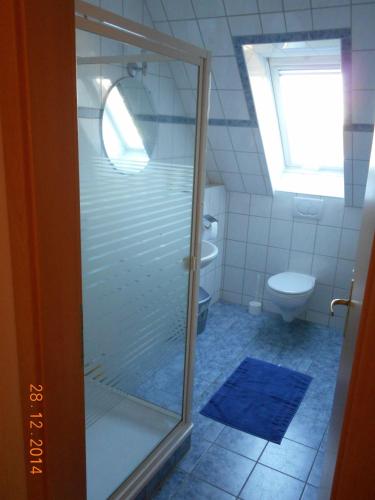 a glass shower in a bathroom with a toilet at Sonnenblume in Landkirchen