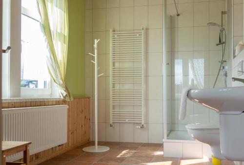 uma casa de banho com um chuveiro, um WC e um lavatório. em Pension Villa Immergrün em Oberhof