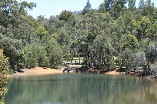 a lake with trees on the side of it at Karri Valley Chalets in Pemberton