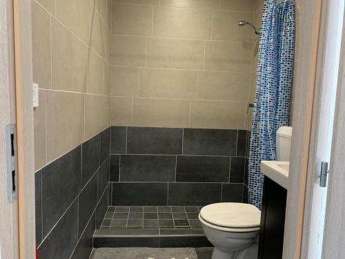 een badkamer met een toilet en een douche bij Alfa Apartman in Sátoraljaújhely